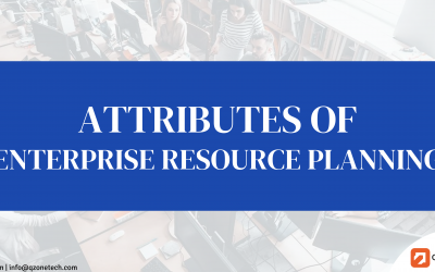 Attributes of enterprise resource planning